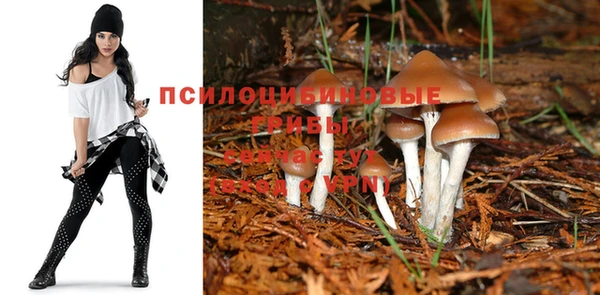 тгк Лихославль