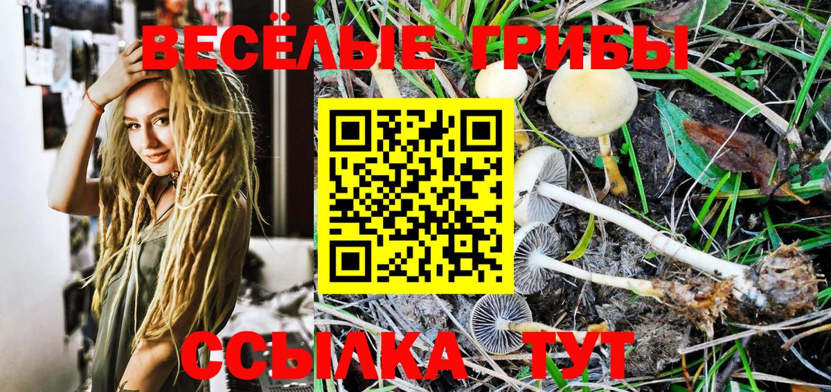 Галлюциногенные грибы GOLDEN TEACHER Павлово