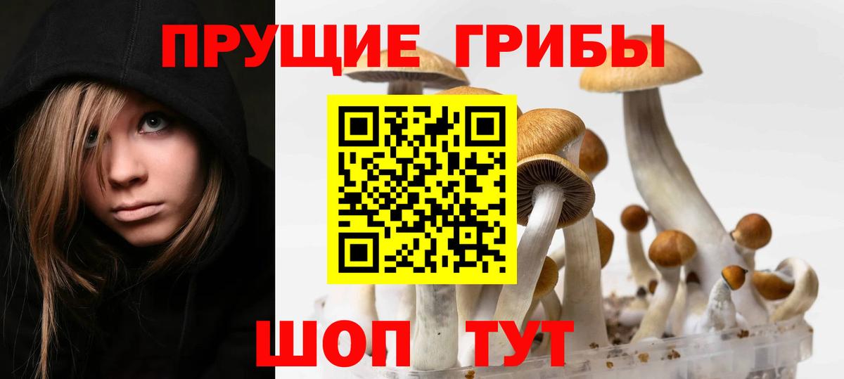 Павлово  Псилоцибиновые грибы MAGIC MUSHROOMS  Вход с VPN 