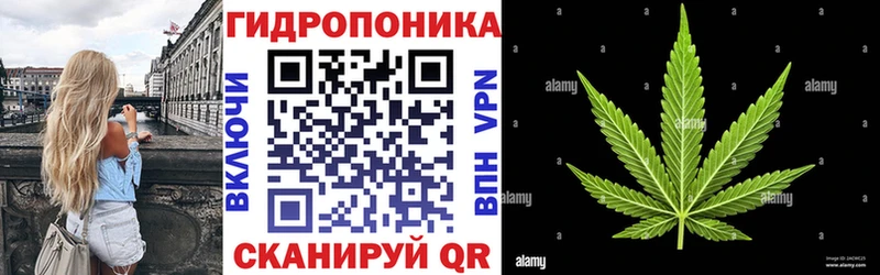 Бошки Шишки OG Kush  Павлово 